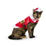 Merry & Bright® Santa Holiday Costume - Image 2