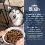 Natural Balance Health Protection Adult Dog Dry Food - Lamb, Brown Rice & Pumpkin - Image 9