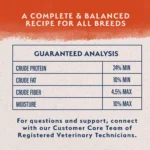 Natural Balance Limited Ingredient Diets Adult Dry Dog Food - Salmon & Sweet Potato - Image 7