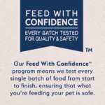 Natural Balance Limited Ingredient Diets Adult Dry Dog Food - Salmon & Sweet Potato - Image 8