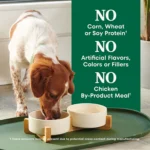 Nutro Natural Choice™ Small Bites Adult Dry Dog Food - Lamb & Brown Rice - Image 5