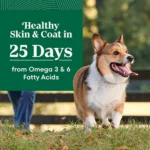 Nutro Natural Choice™ Small Bites Adult Dry Dog Food - Lamb & Brown Rice - Image 3