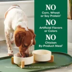 Nutro Wholesome Essentials Small Breed Senior Dry Dog Food - Chicken & Brown Rice - Image 5