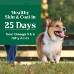 Nutro Wholesome Essentials Small Breed Senior Dry Dog Food - Chicken & Brown Rice - Image 3