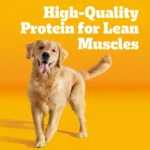 Pedigree® Complete Nutrition Adult Dry Dog Food - Steak & Vegetables - Image 2