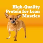 Pedigree® Complete Nutrition Small Breed Adult Dry Dog Food - Grilled Steak & Vegetables - Image 2