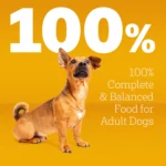 Pedigree® Complete Nutrition Small Breed Adult Dry Dog Food - Grilled Steak & Vegetables - Image 3