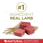 Purina® ONE® Adult Dog Dry Food - Lamb & Rice, High-Protein - Image 4