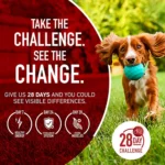 Purina® ONE® +Plus Large Breed Adult Dog Dry Food - Chicken, Natural - Image 3