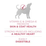 Purina ONE® +Plus SmartBlend Adult Dog Dry Food - Salmon, No Artificial Preservatives, With Vitamins - Image 5