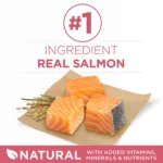 Purina ONE® +Plus SmartBlend Adult Dog Dry Food - Salmon, No Artificial Preservatives, With Vitamins - Image 4