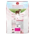 Purina ONE® +Plus SmartBlend Adult Dog Dry Food - Salmon, No Artificial Preservatives, With Vitamins - Image 2