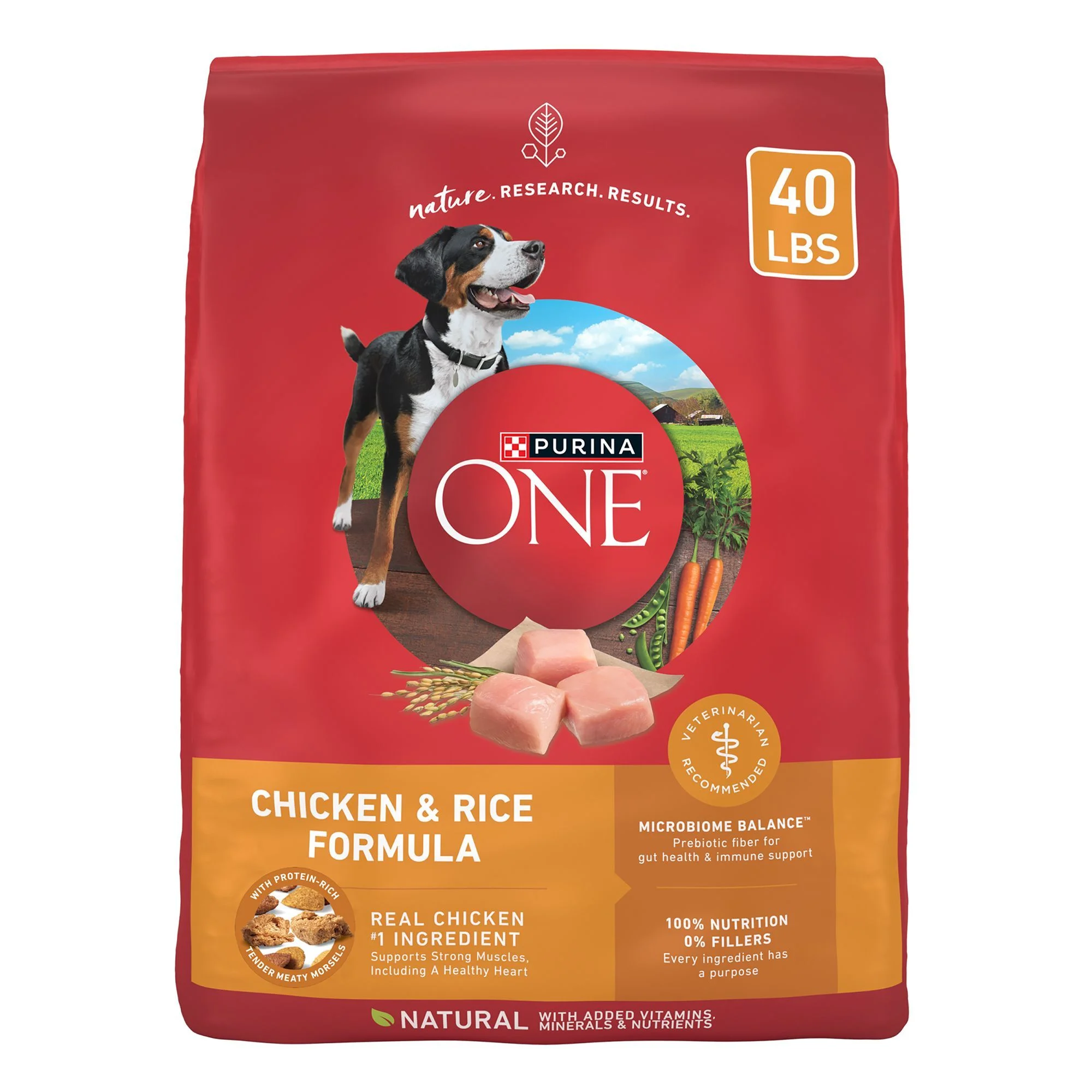 Purina ONE® SmartBlend Everyday Nutrition Adult Dog Dry Food - Chicken, High-Protein Purina ONE® SmartBlend Everyday Nutrition Adult Dog Dry Food - Chicken, High-Protein - Image 1