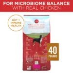 Purina ONE® SmartBlend Everyday Nutrition Adult Dog Dry Food - Chicken, High-Protein - Image 2