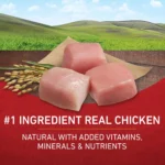 Purina ONE® SmartBlend Everyday Nutrition Adult Dog Dry Food - Chicken, High-Protein - Image 4