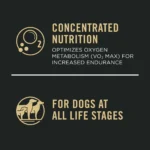 Purina® Pro Plan Sport Performance 30/20 All Life Stages Dry Dog Food - Chicken & Rice, High-Protein - Image 5