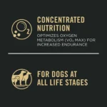 Purina Pro Plan Sport Performance 30/20 All Life Stages Dry Dog Food - Salmon & Rice - Image 5