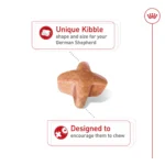 Royal Canin Breed Health Nutrition German Shepherd Adult Dry Dog Food - Image 5