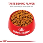 Royal Canin Breed Health Nutrition German Shepherd Adult Dry Dog Food - Image 2