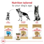 Royal Canin Breed Health Nutrition German Shepherd Adult Dry Dog Food - Image 7