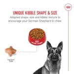 Royal Canin Breed Health Nutrition German Shepherd Adult Dry Dog Food - Image 4