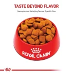 Royal Canin® Breed Health Nutrition® Golden Retriever Breed Specific Adult Dog Dry Food - 30 lb - Image 2