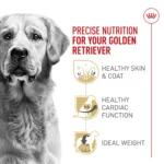 Royal Canin® Breed Health Nutrition® Golden Retriever Breed Specific Adult Dog Dry Food - 30 lb - Image 3