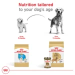 Royal Canin® Breed Health Nutrition® Golden Retriever Breed Specific Adult Dog Dry Food - 30 lb - Image 7