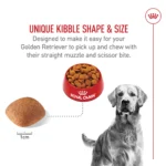 Royal Canin® Breed Health Nutrition® Golden Retriever Breed Specific Adult Dog Dry Food - 30 lb - Image 4
