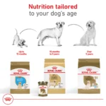 Royal Canin® Breed Health Nutrition® Labrador Retriever Breed Specific Adult Dog Dry Food - 30 lb - Image 7