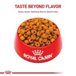 Royal Canin® Breed Health Nutrition® Labrador Retriever Breed Specific Adult Dog Dry Food - 30 lb - Image 2