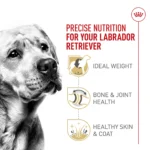 Royal Canin® Breed Health Nutrition® Labrador Retriever Breed Specific Adult Dog Dry Food - 30 lb - Image 3