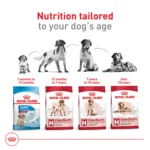 Royal Canin Size Health Nutrition Medium Breed Adult Dry Dog Food - Image 6