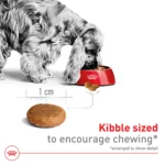 Royal Canin Size Health Nutrition Medium Breed Adult Dry Dog Food - Image 4