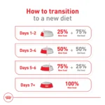 Royal Canin Size Health Nutrition Medium Breed Adult Dry Dog Food - Image 10