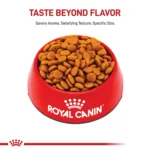 Royal Canin Size Health Nutrition Medium Breed Adult Dry Dog Food - Image 2