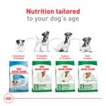 Royal Canin Size Health Nutrition X-Small Adult Dry Dog Food - Image 6
