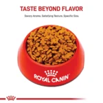 Royal Canin Size Health Nutrition X-Small Adult Dry Dog Food - Image 2