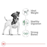 Royal Canin Size Health Nutrition X-Small Adult Dry Dog Food - Image 3