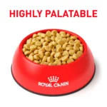 Royal Canin® Veterinary Diet Hydrolyzed Protein HP Adult Dog Dry Food - Image 3
