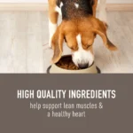 Simply Nourish Adult Dog Food - Fish & Brown Rice - Image 3