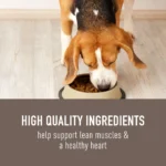 Simply Nourish® Original Adult Dry Dog Food - Lamb & Oatmeal - Image 4