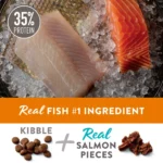 Simply Nourish® Source Kibble + Adult Dry Dog Food - Salmon, High-Protein, Grain Free - Image 2