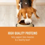 Simply Nourish® Source Kibble + Adult Dry Dog Food - Salmon, High-Protein, Grain Free - Image 3