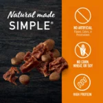 Simply Nourish® Source Kibble + Adult Dry Dog Food - Salmon, High-Protein, Grain Free - Image 4