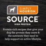 Simply Nourish® Source Kibble + Adult Dry Dog Food - Salmon, High-Protein, Grain Free - Image 5