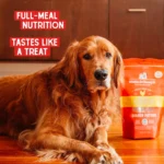 Stella & Chewy's Freeze-Dried Raw Dinner Patties All Life Stages Dry Dog Food - Chewy's Chicken - Image 7